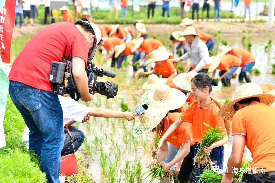 上海有机富硒大米的种植(富硒大米生产技术)-硒宝网