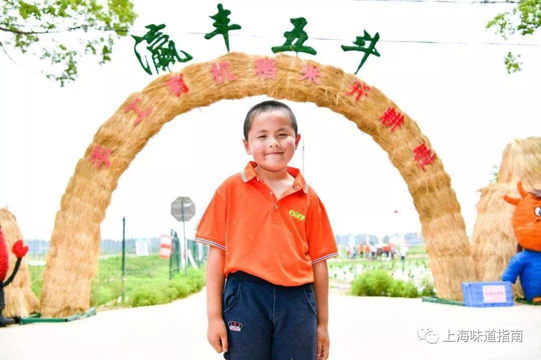 上海有机富硒大米的种植(富硒大米生产技术)-硒宝网