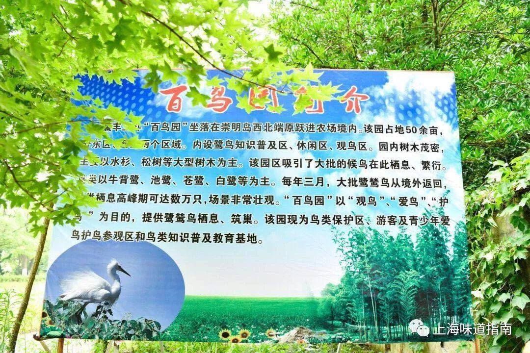 上海有机富硒大米的种植(富硒大米生产技术)-硒宝网