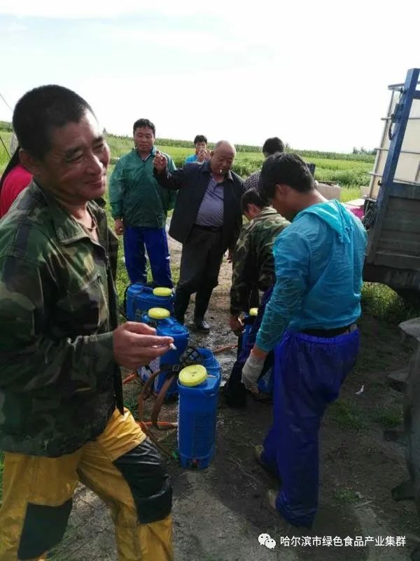 富硒大米执行什么标准好（富硒大米国标号）-硒宝网