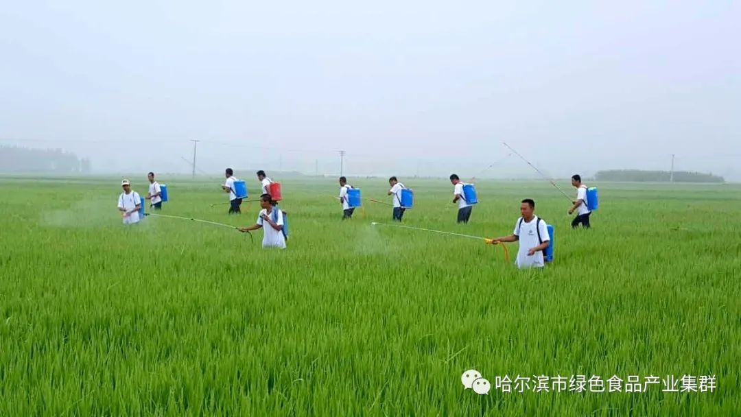 富硒大米执行什么标准好（富硒大米国标号）-硒宝网