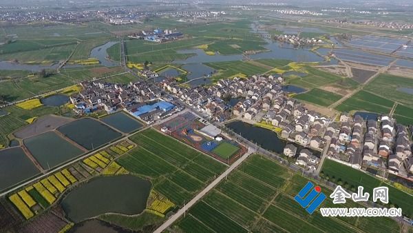 富硒大米江苏产地是哪里(江苏富硒米多少钱一斤)-硒宝网