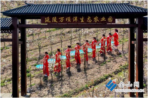 富硒大米江苏产地是哪里(江苏富硒米多少钱一斤)-硒宝网