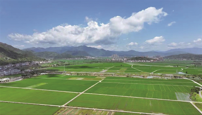 富硒大米含硒国家标准表(富硒大米国标号)-硒宝网