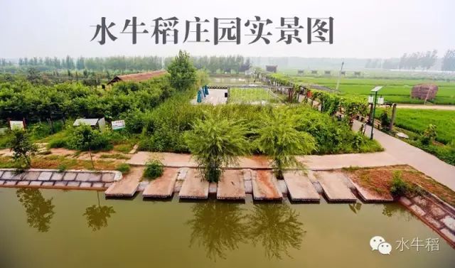 源硒地高富硒大米十斤装（富硒优质大米）-硒宝网