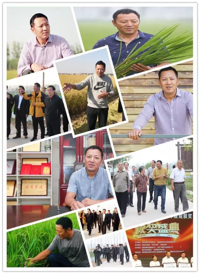 源硒地高富硒大米十斤装（富硒优质大米）-硒宝网