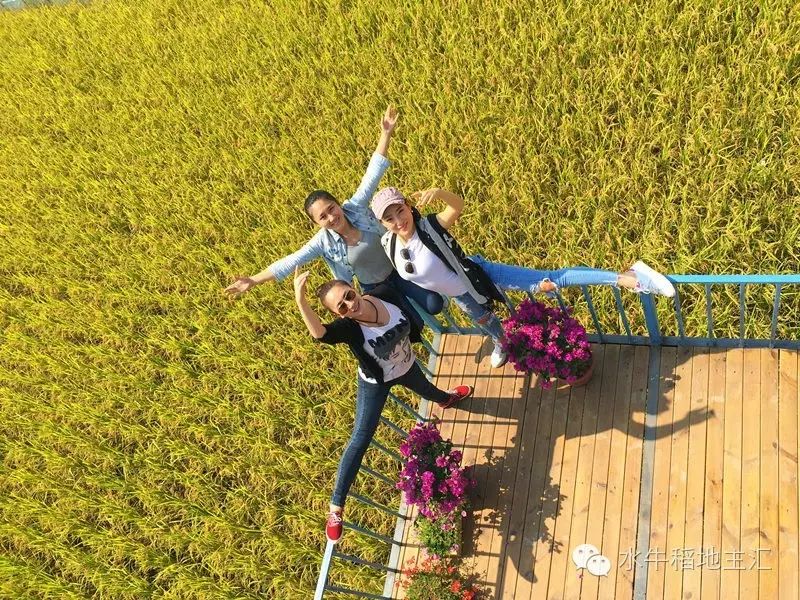 源硒地高富硒大米十斤装（富硒优质大米）-硒宝网