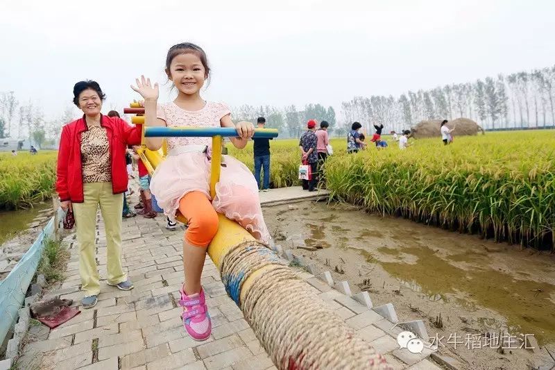 源硒地高富硒大米十斤装（富硒优质大米）-硒宝网