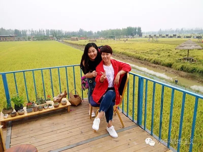 源硒地高富硒大米十斤装（富硒优质大米）-硒宝网