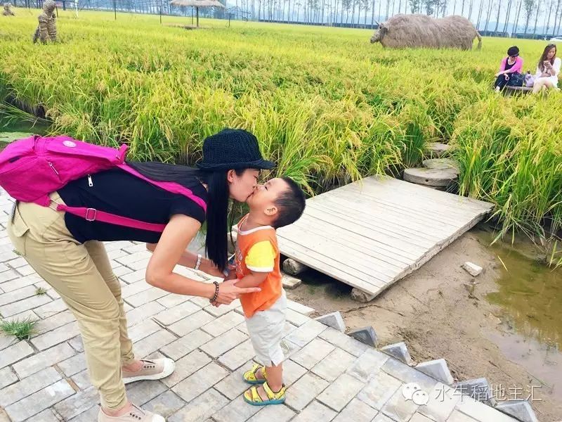 源硒地高富硒大米十斤装（富硒优质大米）-硒宝网