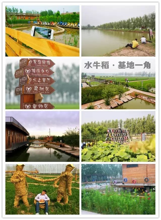 源硒地高富硒大米十斤装（富硒优质大米）-硒宝网