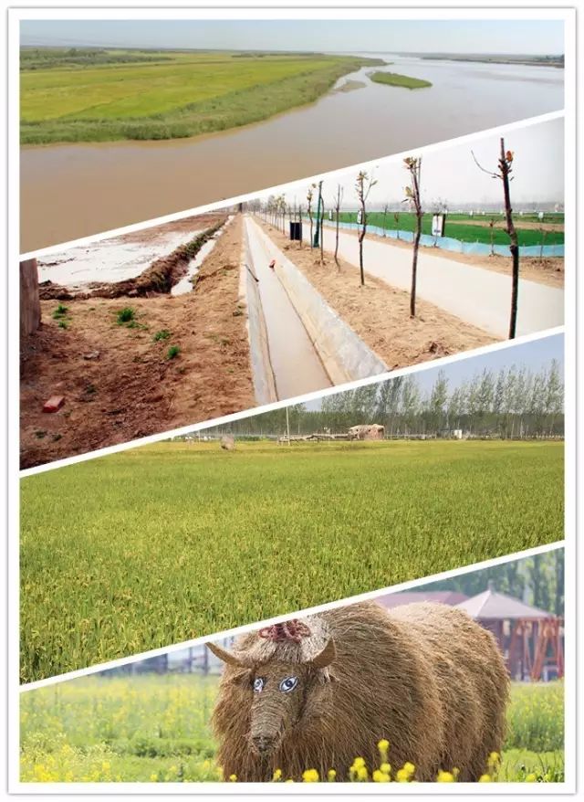 源硒地高富硒大米十斤装（富硒优质大米）-硒宝网