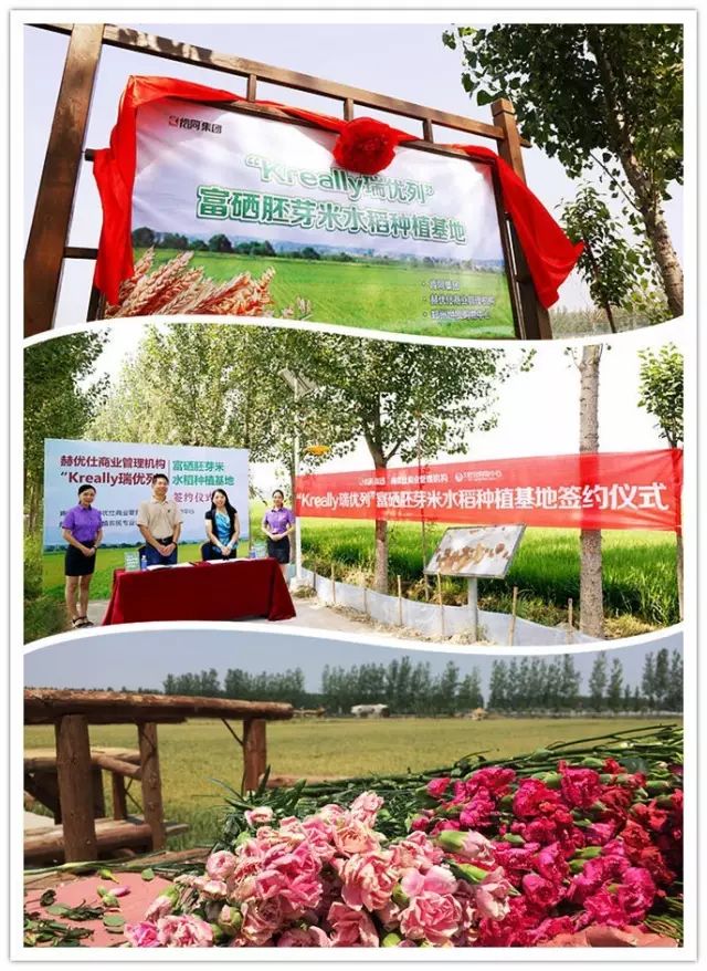 源硒地高富硒大米十斤装（富硒优质大米）-硒宝网