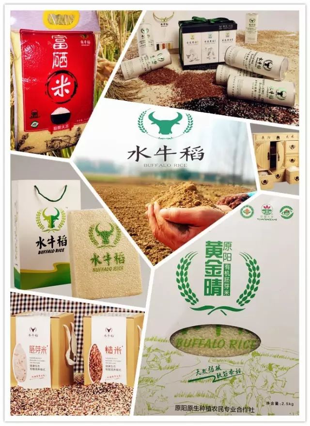 源硒地高富硒大米十斤装（富硒优质大米）-硒宝网