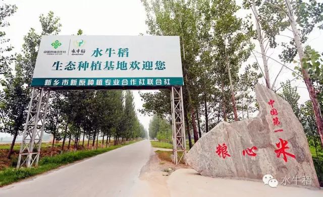 源硒地高富硒大米十斤装（富硒优质大米）-硒宝网