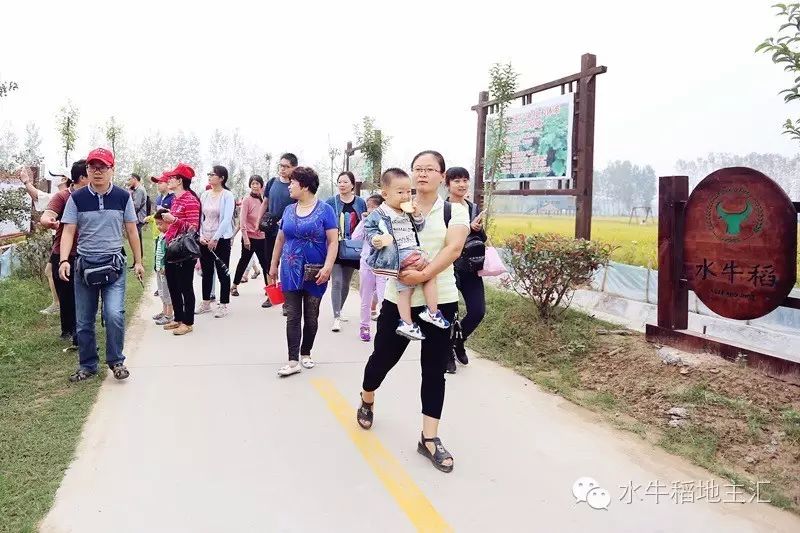 源硒地高富硒大米十斤装（富硒优质大米）-硒宝网