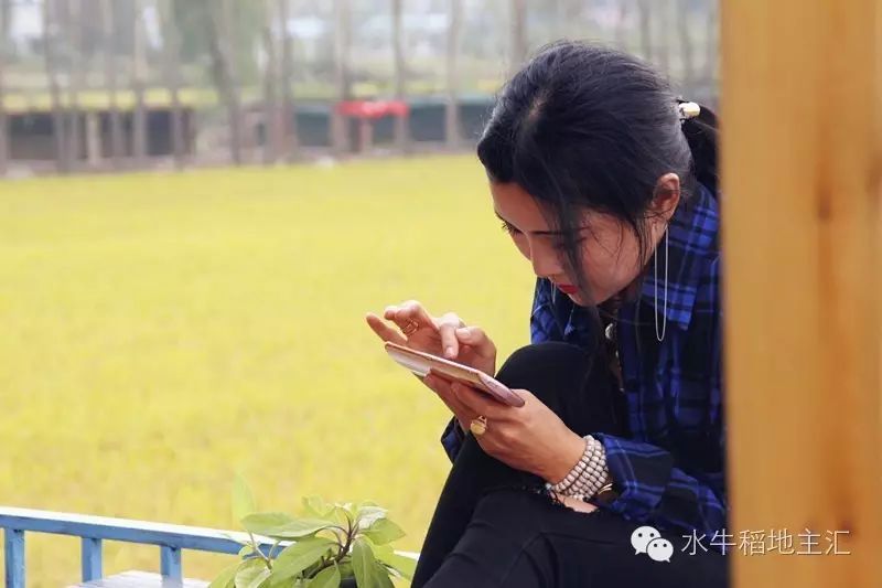 源硒地高富硒大米十斤装（富硒优质大米）-硒宝网