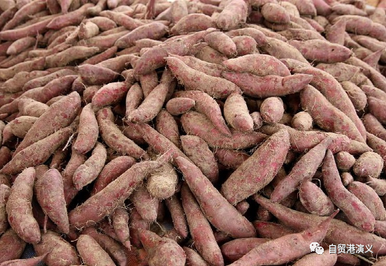 广西天然富硒大米贵不贵（贵州富硒大米）-硒宝网