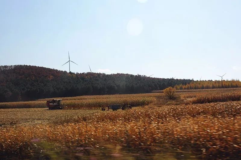 方正富硒大米价格20斤(方正大米富硒营养米价格)-硒宝网