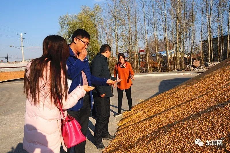 方正富硒大米价格20斤(方正大米富硒营养米价格)-硒宝网