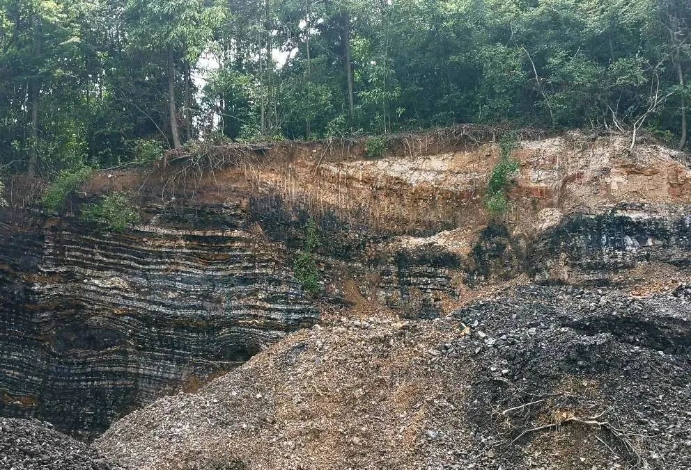 恩施富硒大米产业园规划(湖北恩施大米含硒高吗)-硒宝网