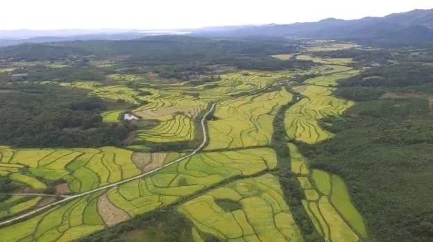 恩施富硒大米产业园规划(湖北恩施大米含硒高吗)-硒宝网