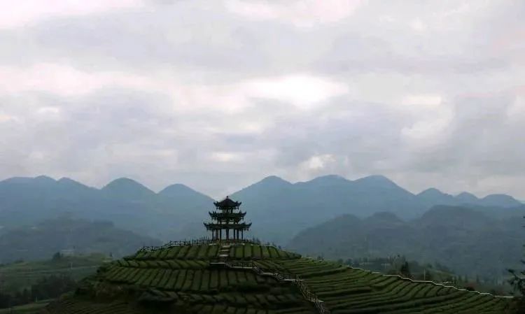 恩施富硒大米产业园规划(湖北恩施大米含硒高吗)-硒宝网