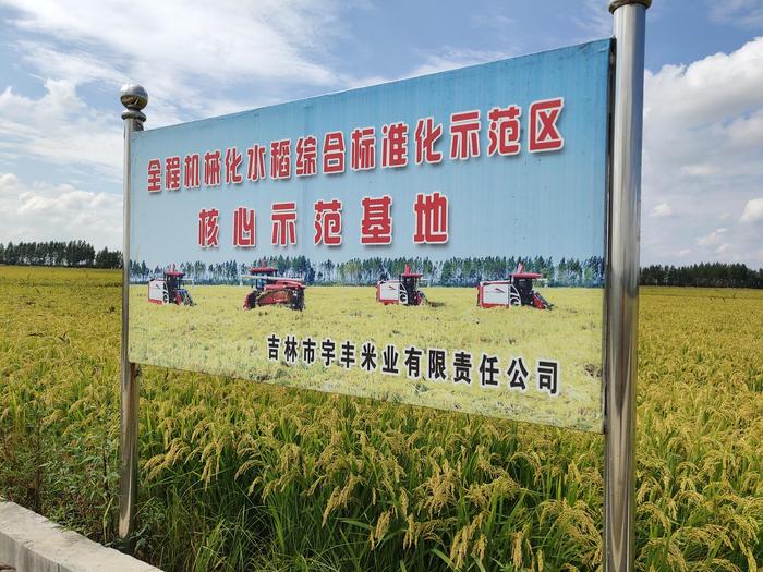 万昌稻花香有机富硒大米（富硒大米和稻花香大米哪个好）-硒宝网