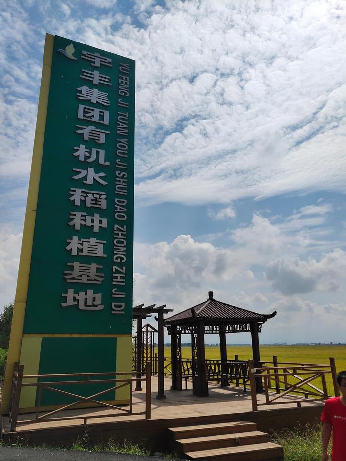 万昌稻花香有机富硒大米（富硒大米和稻花香大米哪个好）-硒宝网