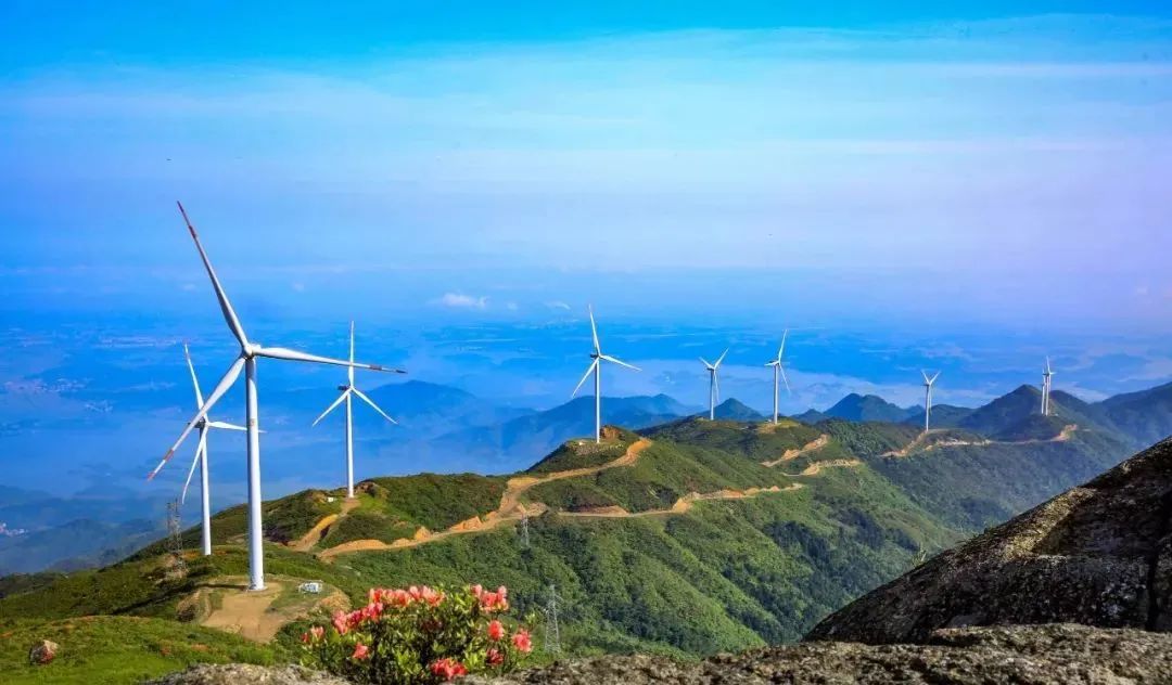 丰城乡意浓有机富硒大米(丰城乡意浓富硒米科技有限公司)-硒宝网