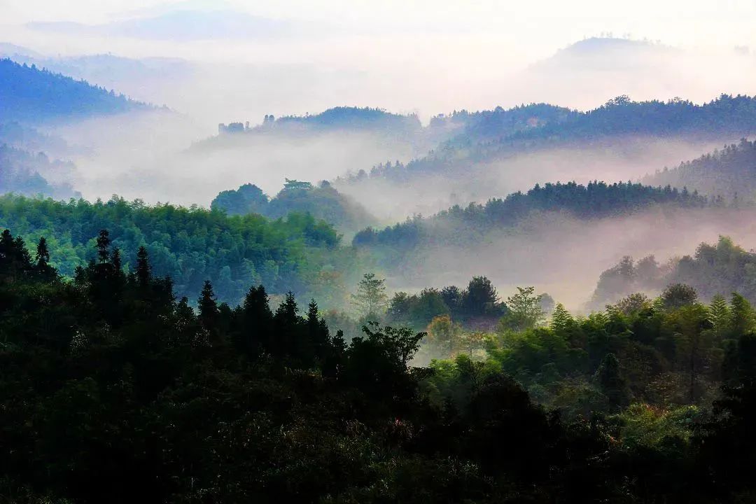 丰城乡意浓有机富硒大米(丰城乡意浓富硒米科技有限公司)-硒宝网