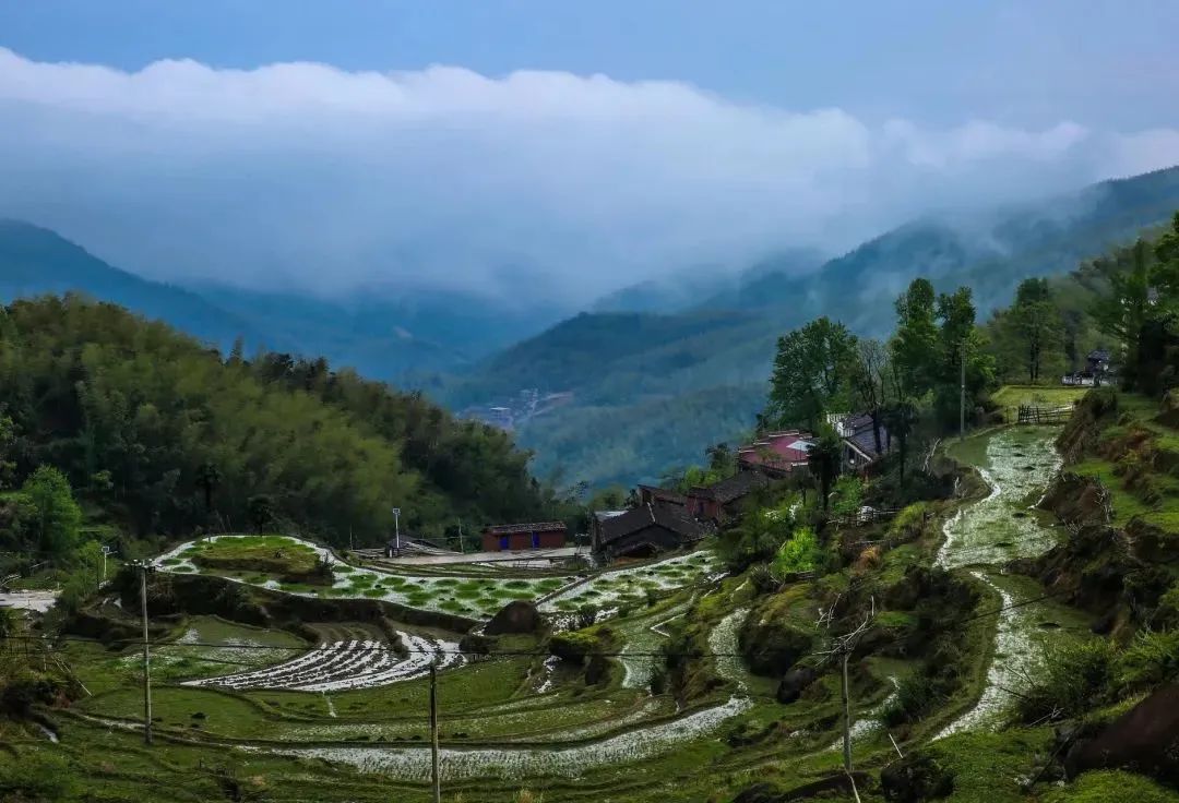 丰城乡意浓有机富硒大米(丰城乡意浓富硒米科技有限公司)-硒宝网
