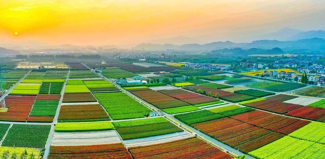 丰城乡意浓有机富硒大米(丰城乡意浓富硒米科技有限公司)-硒宝网