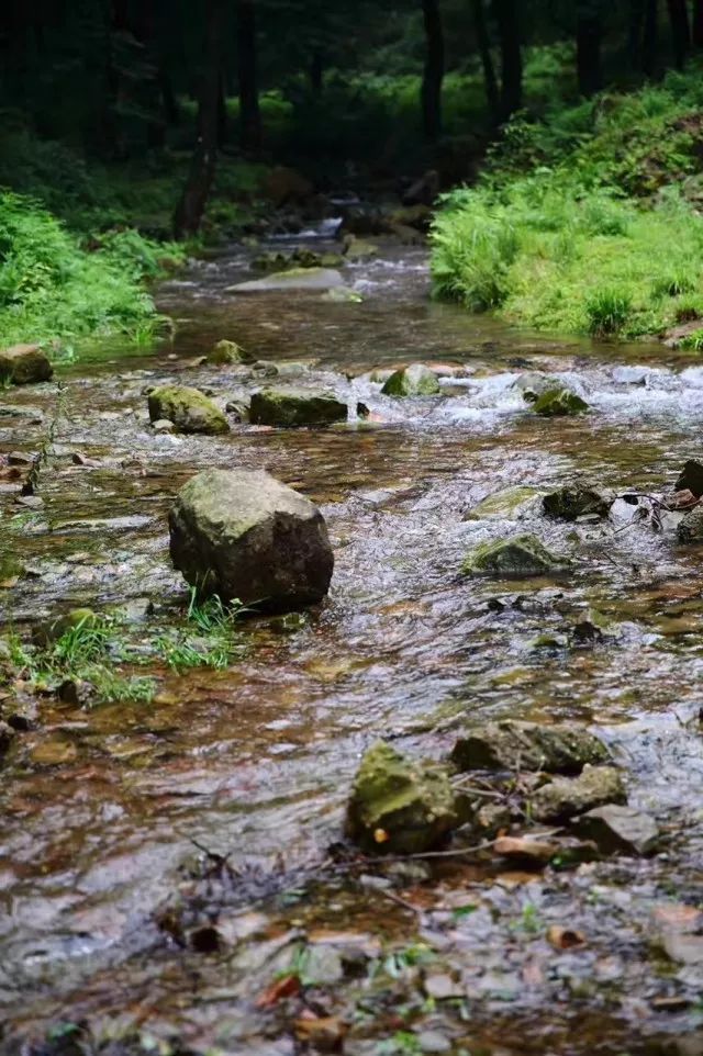 富硒大米和普通米混着吃(富硒大米能补硒吗)-硒宝网