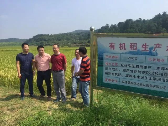 富硒大米和普通米混着吃(富硒大米能补硒吗)-硒宝网