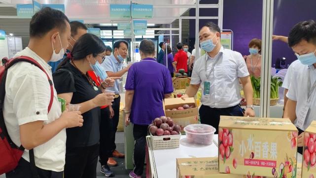 扶贫开发中心 富硒大米（富硒大米传销）-硒宝网