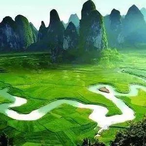 广西上林富硒大米好吃吗(广西扶贫产品富硒大米)-硒宝网