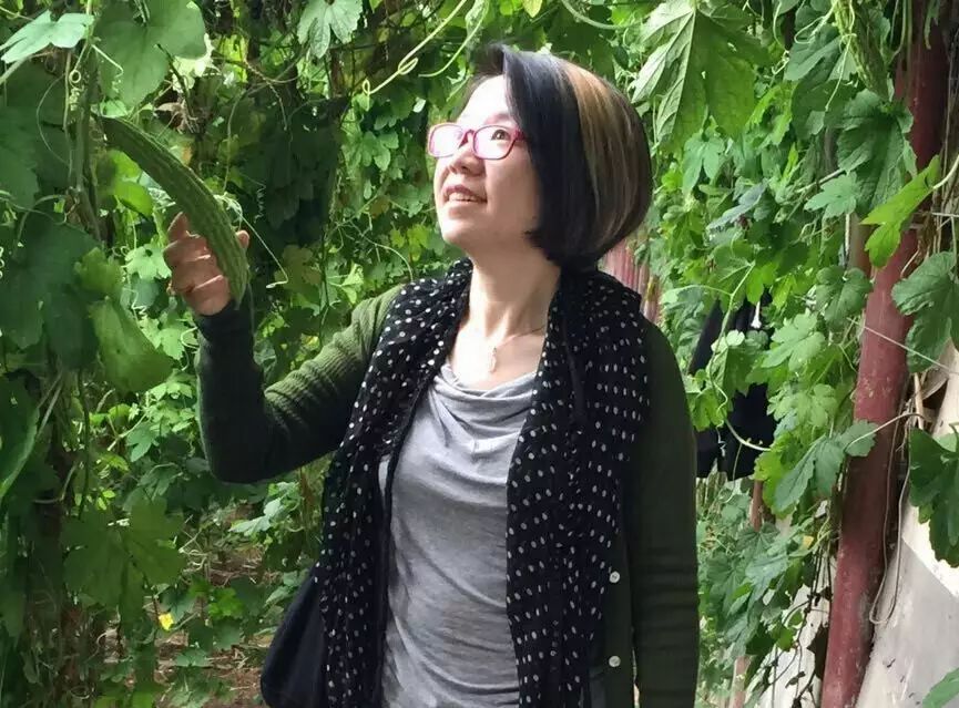 邵阳市富硒大米产地土壤(邵阳大米加工厂)-硒宝网