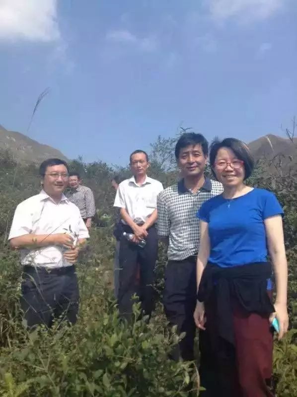 邵阳市富硒大米产地土壤(邵阳大米加工厂)-硒宝网