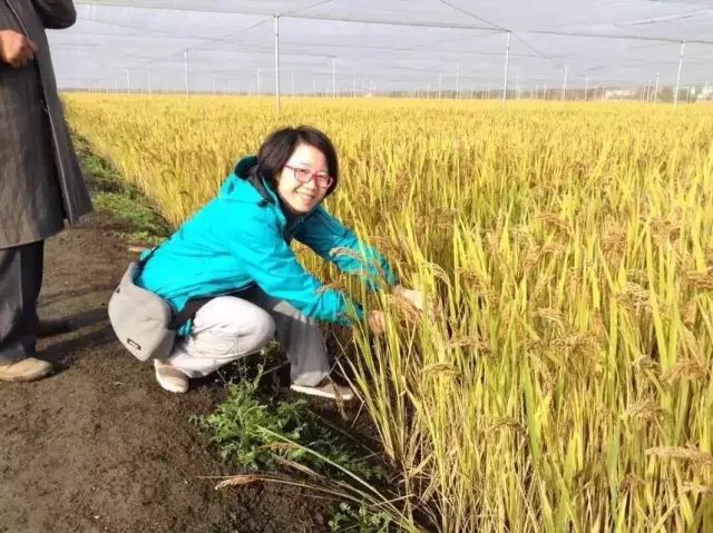 邵阳市富硒大米产地土壤(邵阳大米加工厂)-硒宝网