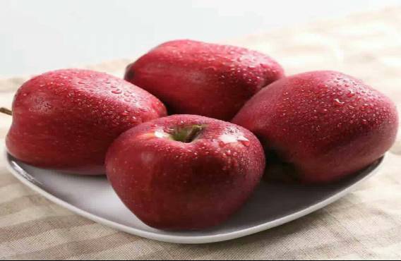 邵阳市富硒大米产地土壤(邵阳大米加工厂)-硒宝网