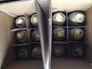 邵阳市富硒大米产地土壤(邵阳大米加工厂)-硒宝网