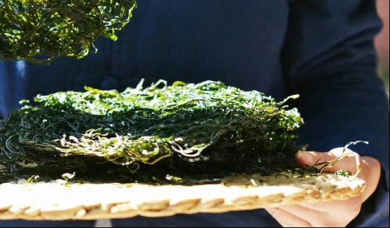 邵阳市富硒大米产地土壤(邵阳大米加工厂)-硒宝网