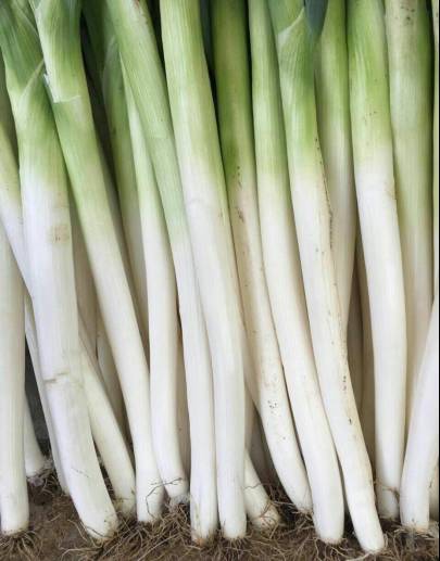 邵阳市富硒大米产地土壤(邵阳大米加工厂)-硒宝网