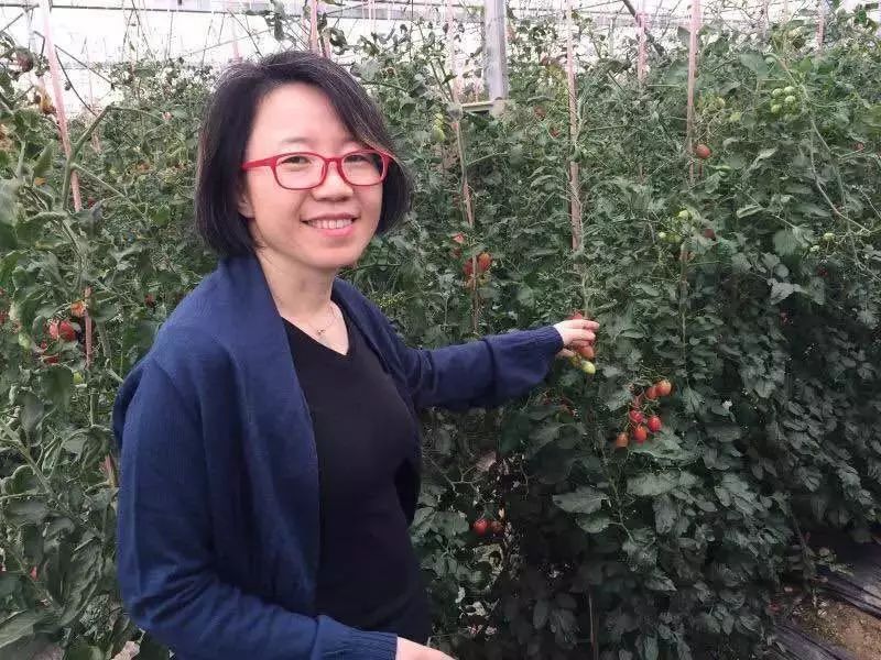 邵阳市富硒大米产地土壤(邵阳大米加工厂)-硒宝网