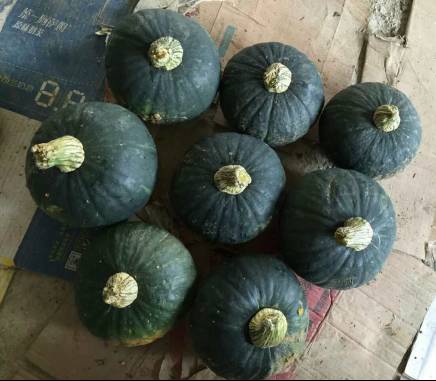 邵阳市富硒大米产地土壤(邵阳大米加工厂)-硒宝网