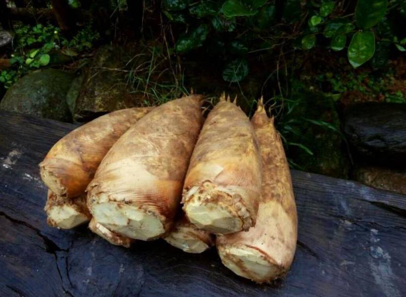 邵阳市富硒大米产地土壤(邵阳大米加工厂)-硒宝网