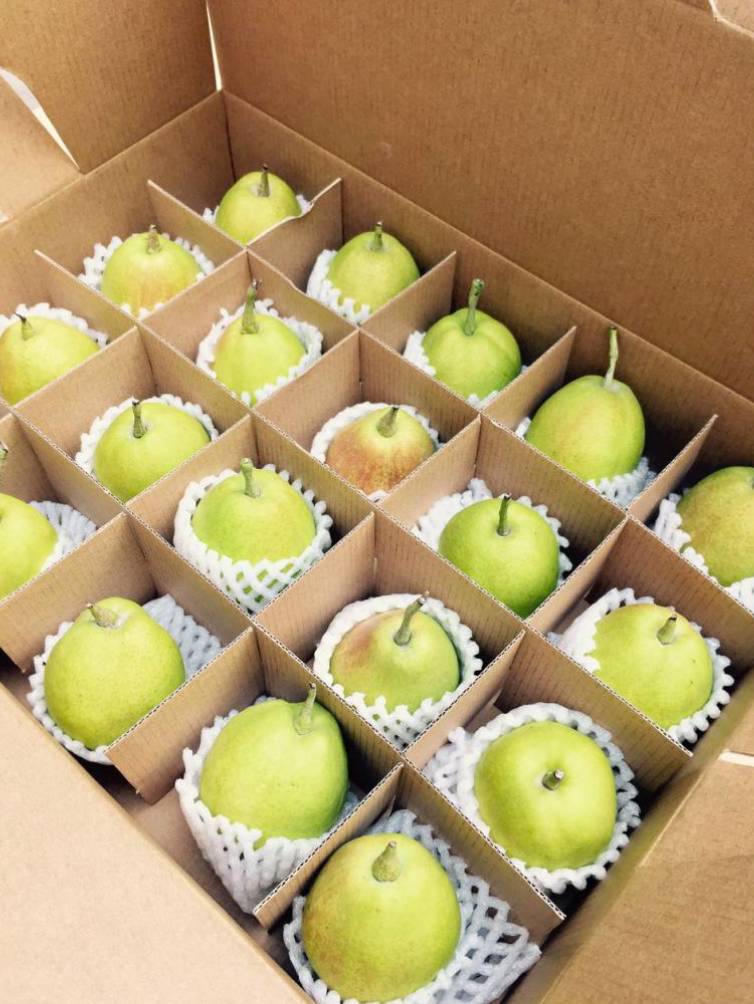 邵阳市富硒大米产地土壤(邵阳大米加工厂)-硒宝网