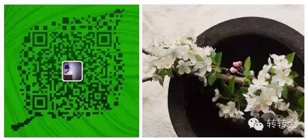 邵阳市富硒大米产地土壤(邵阳大米加工厂)-硒宝网