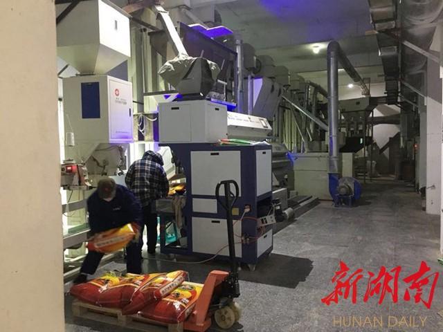 邵阳县富硒大米产地管理(富硒大米产地有哪些)-硒宝网